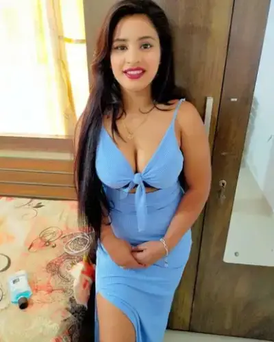 Denkanikottai Escorts